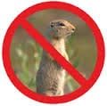 24 Quantity Rodent/Gopher Plant and Root Guard Mini Size Baskets for Quart Size Plants Outdoor Gardening and Landscaping.