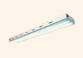 4 Ft 2 Bulb 100W T5 Grow Light Panel 6500K Full Sun 10000 Lumen 120V