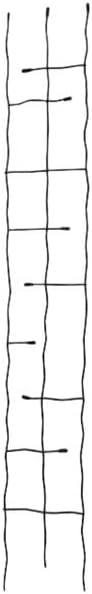Panacea 89484 Black Forged Narrow Twig Trellises Pack of 3 – 72 H Metal Garden Trellises with Twisted Rod &amp Leaf Design – Durable Outdoor Plant Supports for Climbing Vines Flowers &amp Vegetab