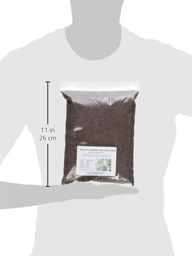 Todd’s Seeds - Sprouting Broccoli Seeds - Calabrese Variety Non-GMO Heirloom - 2.5 Pound - Bulk Seeds