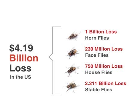 Champion USA JustiFLY Feedthrough Cattle Fly Control | Non-Toxic Larvicide. Controls All Four Fly Species That Affect Cattle. Over 50 Million Head Treated (3 Pack)