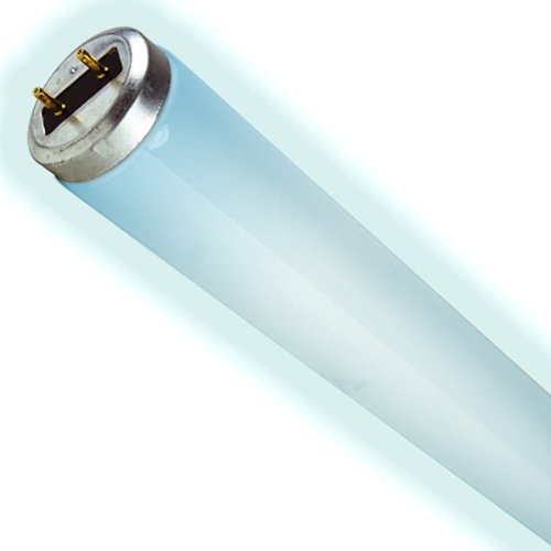 Paraclipse 72651 Replacement Ultraviolet Lamp for Insect Inn Ultra I and II
