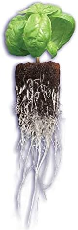General Hydroponics Rapid Rooter Starter Plug for Seeds or Cuttings Great for Soil or Hydroponics Growing System 100 Plugs
