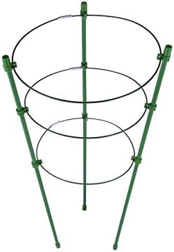 Tomato Cage Plant Support Ring Garden Trellis Flower Iron Support Climbing Plant Grow Cage Green Supporter Climbing Plants Set of 3 (3pack-30'')
