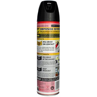Raid Ant &amp Roach Killer Aerosol Fragrance Free 17.5 oz. Pack of 4