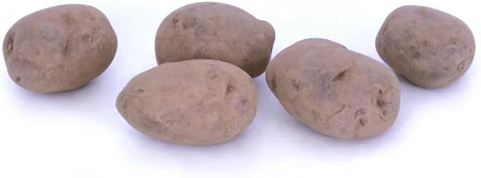 Seed Potato Harvest Blend Red Yellow Blue - High Yielding Mix Potato Tubers Perfect for Home Gardening | Harvest Early Season Easy to Grow (6 Pack)