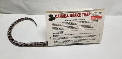 Large Replacement Catch Inserts (Glue Board) 6 Pack