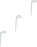 POPETPOP 3pcs Plant Trellis for Climbing Vines Round Support Rack for Potted Plants Indoor Garden Decoration for Use