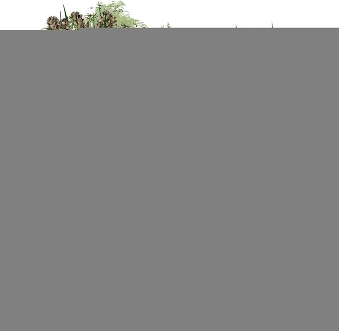 SKM Gabion Raised Bed Steel 70.9x35.4x39.4 Silver
