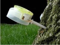 Mauget Dinocide Insecticide 2ml Tree Injector Insecticide Containing Dinotefuran The Same Active Ingredient as Safari Insecticide 24 Caps