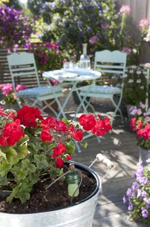 Blumat Watering System Stakes 10 Plant Starter Drip Irrigation | Great for Houseplants and Garden
