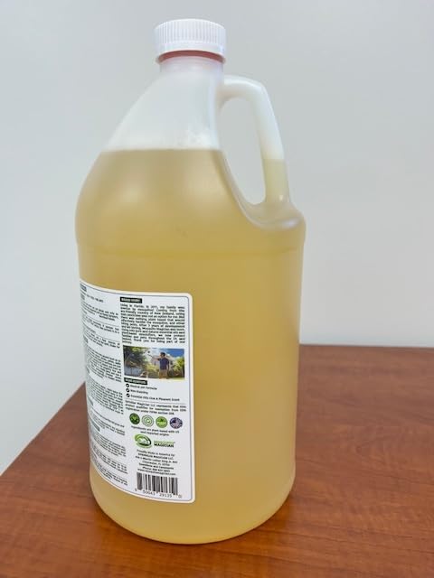 Mosquito Magician Liquid Concentrate Kills Mosquitoes Fleas &amp Fire Ants Yard Spray Treatment Pet Safe Use with Sprayers Foggers &amp Misting Systems Outdoor Mosquito Repellent 1 Gallon - O