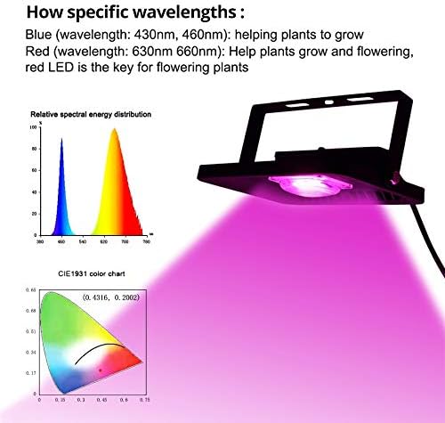 Lights 1pc LED Grow Light Plant Light LED COB Full Spectrum 150W 100W 50W 30W COB Growth Flood Light for Plant Flower Vegetable Phyto Lamp (Color : AC 220V Size : 150W)