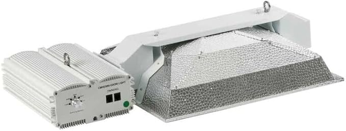 CMH 630W DE Grow Lighting KIT