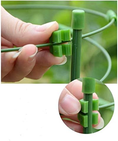 Tomato Cage Plant Support Garden Trellis Plant Cage Plant Support Green Set of 3 (Adjustable 3pack-30'')