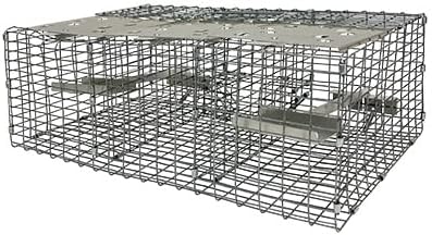 Troyer’s Birds’ Paradise Wire Sparrow Trap – Humane 2-Chamber Live Bird Trap with Spring-Loaded Trays – Durable Galvanized Metal Grid Easy Baiting &amp Monitoring Pole or Ground Mountable