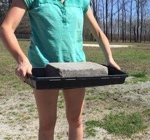 Bootstrap Farmer 72 Cell w/ 1020 Tray - 10 Pack Combo - Extra Strength Starting Trays for Planting Seedlings Propagation Germination Plugs