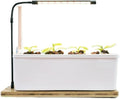 Grow Indoor Hydroponic Growing Box - Home Balcony/Desktop Soil-Free Planter (LED Grow Light ABS Desktop/Floor Use)