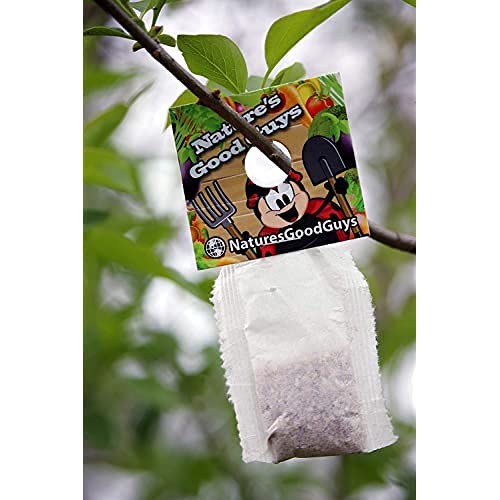 Natures Good Guys - Amblyseius cucumeris - Slow Release Hanging Sachets (25 Sachets with 1000 Mites)