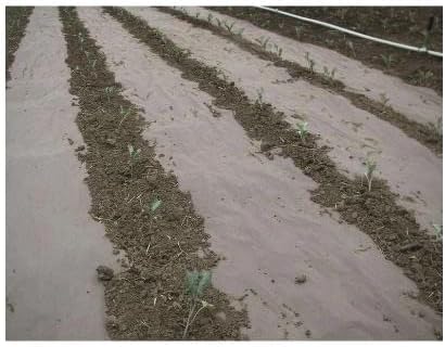 Red Low pH Biodegradable Paper Weed Barrier (Width: 48 Length: 200')