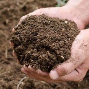 Premium Organic Potting Soil Mix Dark Rich Compost for Garden and Plants lbs