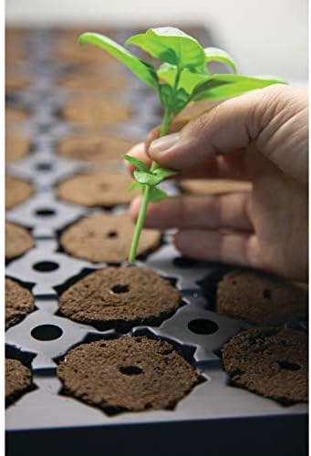 General Hydroponics Rapid Rooter Starter Plug for Seeds or Cuttings Great for Soil or Hydroponics Growing System 100 Plugs
