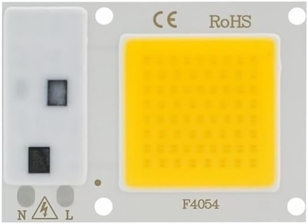 Landscape Lights LED COB Lamp Chip 10W 20W 30W 40W 50W AC 220V Smart IC LED Beads DIY for LED Floodlight Spotlight Cold White Warm White LED Street Lamp (Color : Cold White Size : 10W)