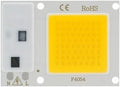 Landscape Lights LED COB Lamp Chip 10W 20W 30W 40W 50W AC 220V Smart IC LED Beads DIY for LED Floodlight Spotlight Cold White Warm White LED Street Lamp (Color : Cold White Size : 10W)