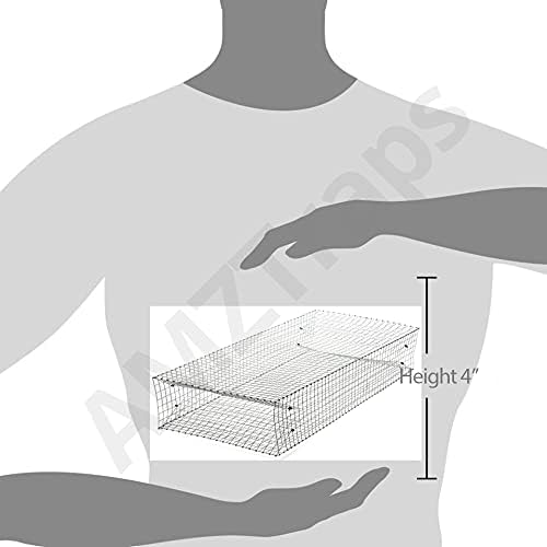 Large Dual Entrance Humane Snake Trap - Catches and Release All Kinds of Snakes - Reusable!