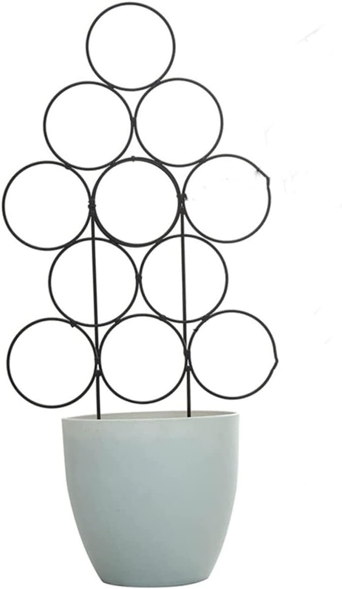 GANAZONO 8pcs Metal Trellis for Climbing Plants Indoor Plant Support Stake Small Garden Trellis Shape and Garden Use