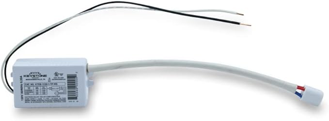 Replacement for Foshan BL-2022CS Ballast by Technical Precision