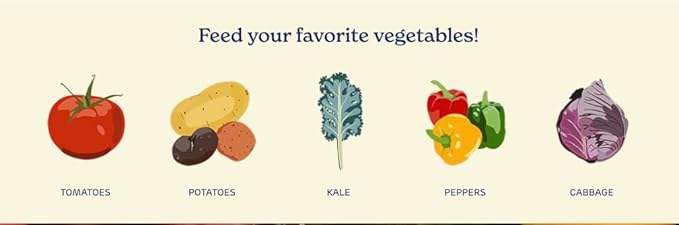True Organic Tomato &amp Vegetable Food + Liquid Tomato &amp Vegetable Food Bundle - CDFA OMRI Listed for Organic Gardening – Organic Fertilizer Set