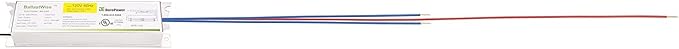 T5 grow light ballast with wires (DXE224HO51) for 2 F24T5HO Bulbs