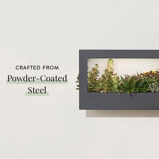Modern Sprout Smart Landscape Growframe Wall Mounted Planter with LED Grow Light -Black