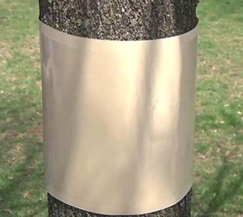 Pack of 15 Spotted Lanternfly Canker Worm Sticky Tree Banding 7 inch Wide by 36 inch Longe