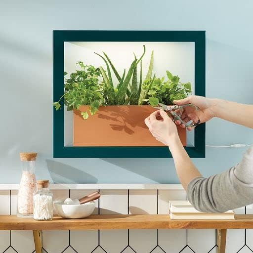 Modern Sprout Smart Growframe Wall Mounted LED Grow Light with Shelf - Emerald