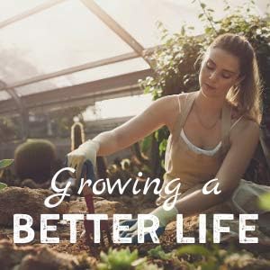 Minute Soil Plus Grow Cube - Amended Coco Coir Potting Soil - 1 Gallon Plastic Grow Bag - 3 Cubes - Self Contained Expanding Coconut Coir Grow Planter - Feeds Plants for an Entire Season