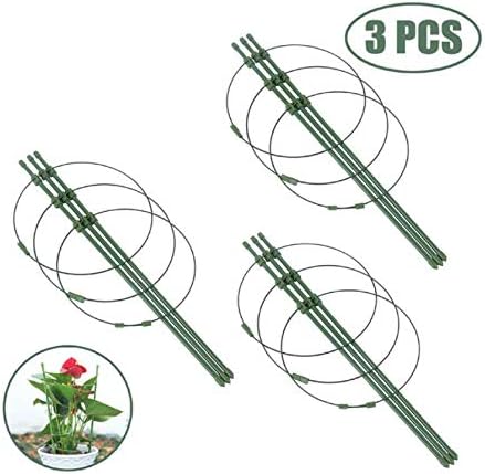 Tomato Cage Plant Support Ring Garden Trellis Flower Iron Support Climbing Plant Grow Cage Green Supporter Climbing Plants Set of 3 (3pack-30'')