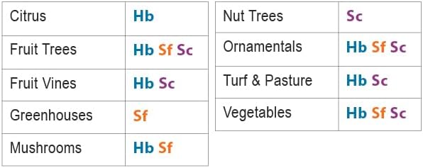 Natures Good Guys - Triple Blend Beneficial Nematodes HB+SC+SF (15 Million)