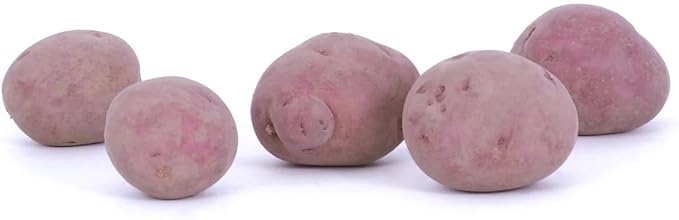 Seed Potato Harvest Blend Red Yellow Blue - High Yielding Mix Potato Tubers Perfect for Home Gardening | Harvest Early Season Easy to Grow (6 Pack)