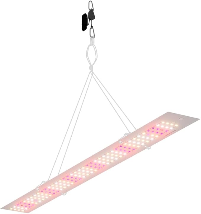 200Watts Full Spectrum Grow Lamp 110V LED Plant Light Sunlight Greenhouse Tent Fill Lighting UV IR Plants Panel Lamps 100-277V Red Bule Cactus Bonsai bryophyte Hydroponics Growth Box with Hook US Plug