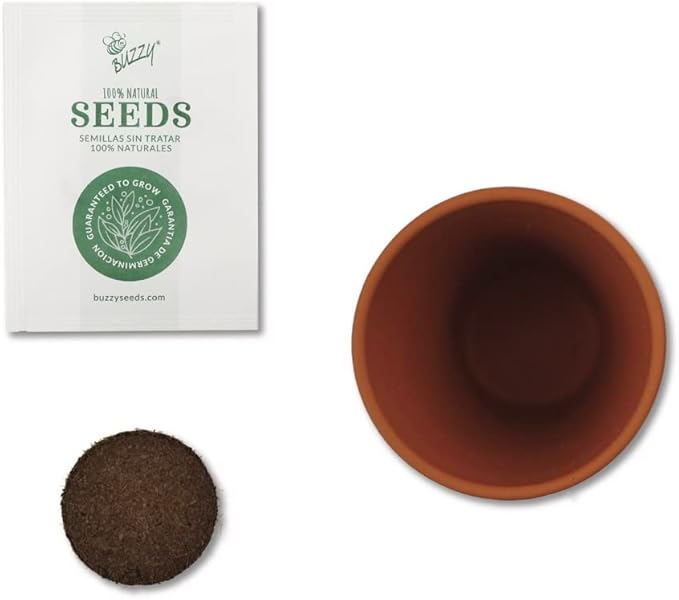 BUZZY Seeds Mini Terracotta Pots 12-Pack with Plant Seeds Poppy Sunflower Daisy Cactus and Forget Me Not All-in-One Seed Starter Kit Indoor Outdoor Gardening Gift Wedding Favors Mother's Day