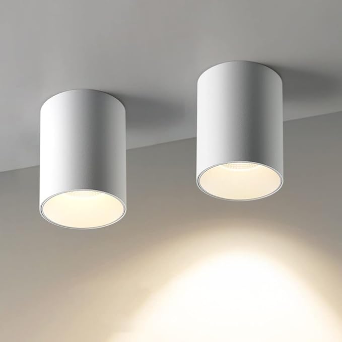 Led Mounted Spotlight 2 Packs Ceiling Downlight Cylindrical Hallway Lamp Adjustable Directio l Accent Spot Lighting Corridor Gallery Spotlights