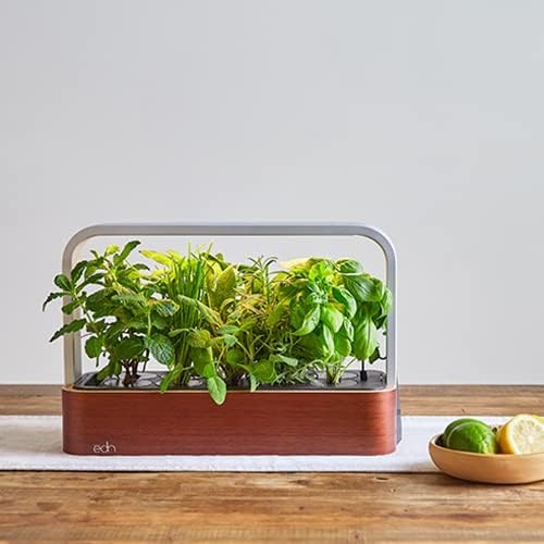 EDN SmallGarden with Basil SeedPods Indoor Grow Smart Garden for iOS Devices - Fresh Home Grown Herbs Plants and Flowers - Grow up to 10 Different Plants at Once