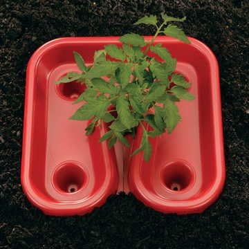 Park Seed Red Tomato Automator Tray All-Purpose Feeder Waterer Weeder Includes 3 Trays