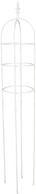 Metal Plant Climbing Trellis for Garden and Balcony Climbing Plants Support Rack with 31cm Diameter Rings and 1.6m Height for Outdoor Growth