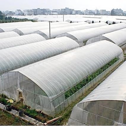 SUNVIEW Greenhouse Plastic Clear 6 mil 4 Year Polyethylene Covering Film 10 ft. Wide x 25 ft. Long
