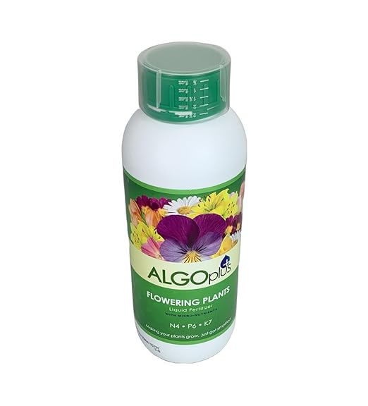 AlgoPlus Rose Liquid Fertilizer - Single