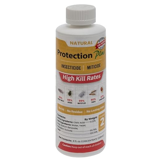Environmental Plant Management Protection Plus Concentrate | Oil-Free Contact Insecticide for Plants | Kills Aphids Whiteflies Spider Mites &amp Other Soft-Bodied Pests | Natural | Indoor &amp Out