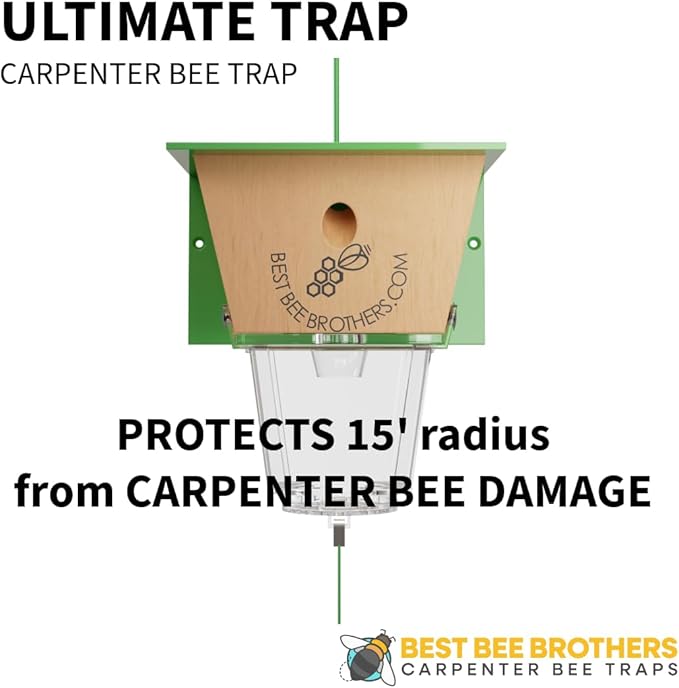 Best Bee Brothers Ultimate Carpenter Bee Trap for Outside with Large Clear External Receptacle Internal Bee Vault &amp Spring-Loaded Door 5.75 L x 6 W x 4.5 H (6 Pack)
